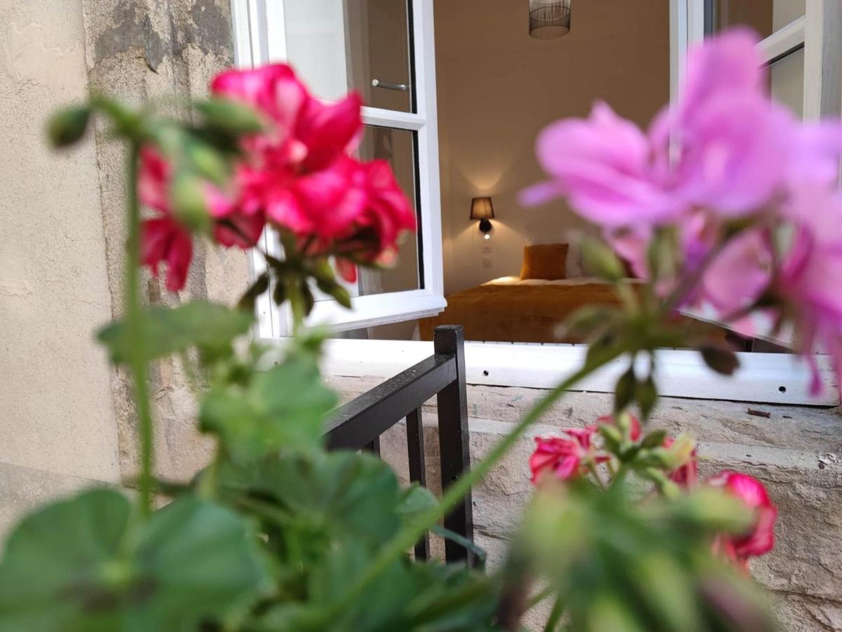 Le Jardin Secret Conciergeriedamecarcas Daire Carcassonne Dış mekan fotoğraf